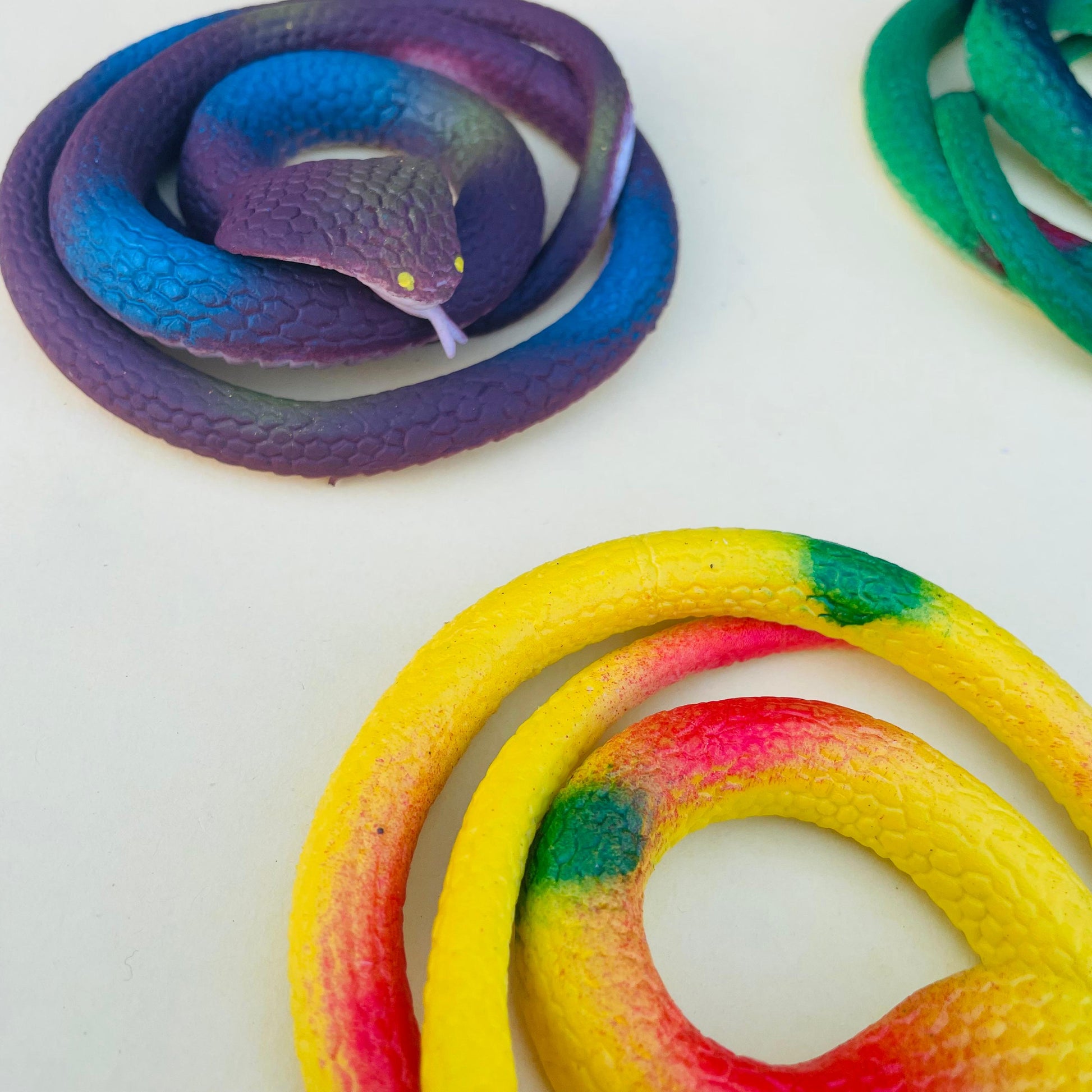 SNAKE - TOY - STATIONERYSTUDIO