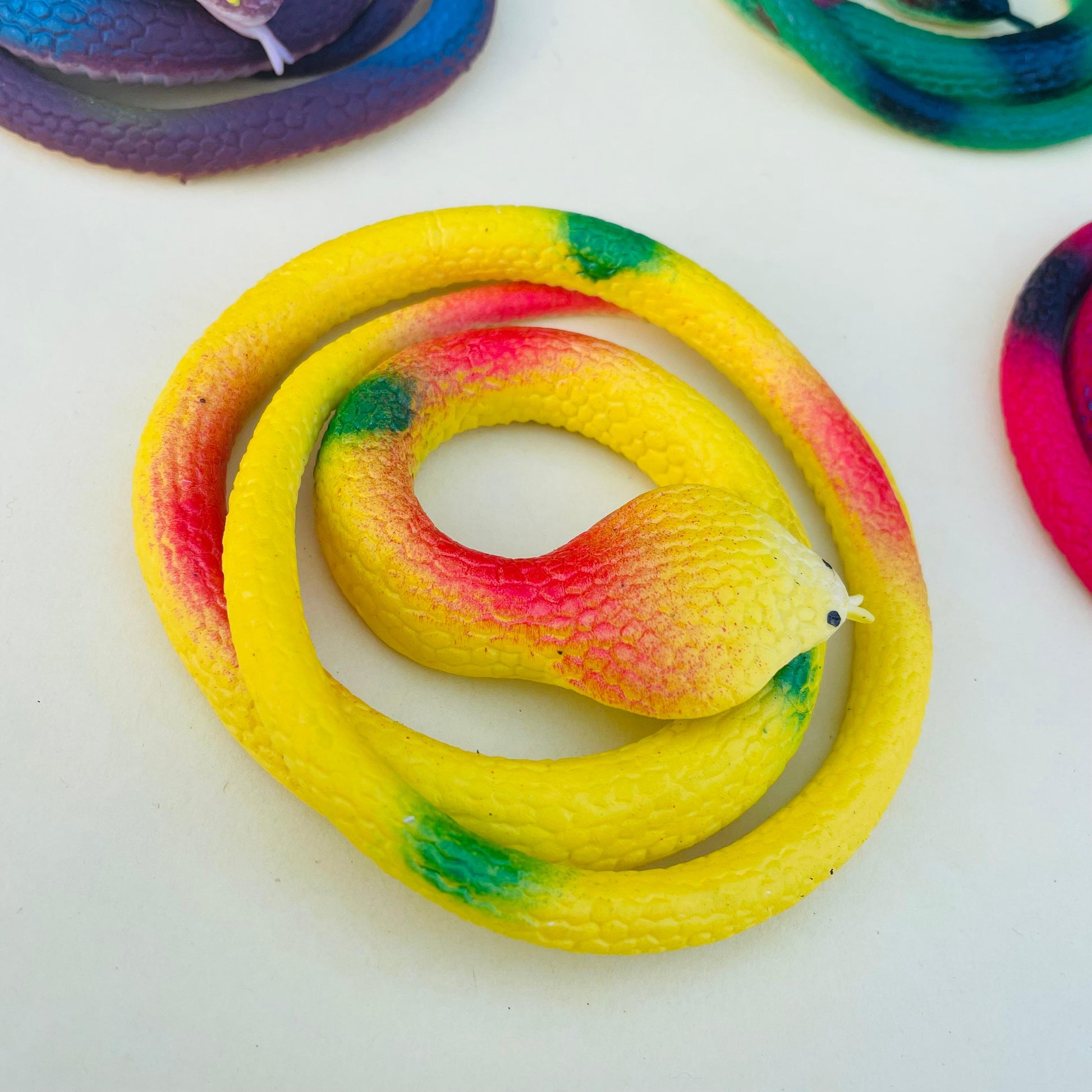 SNAKE - TOY - STATIONERYSTUDIO